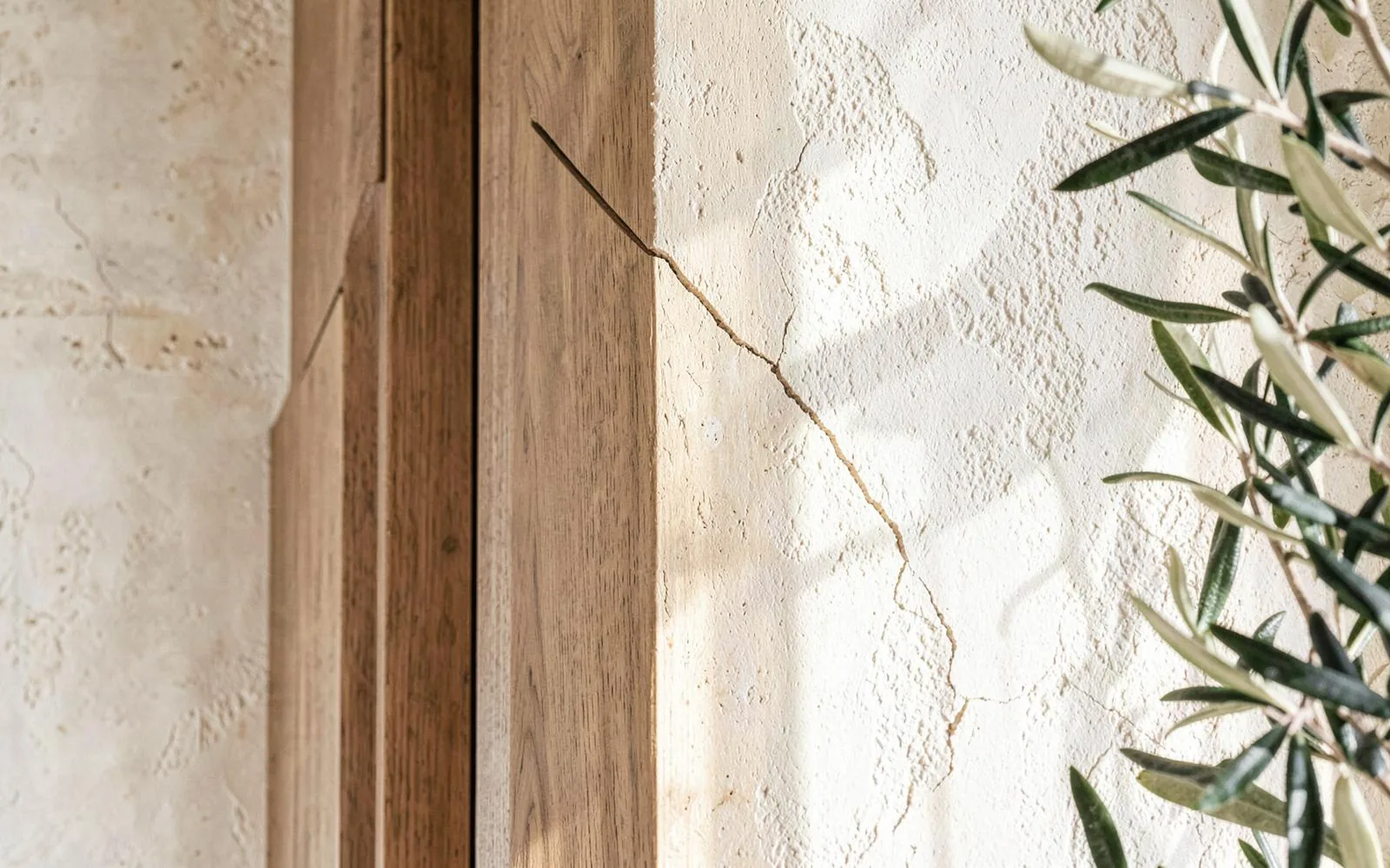 Visual detail from the Lastro Studio project